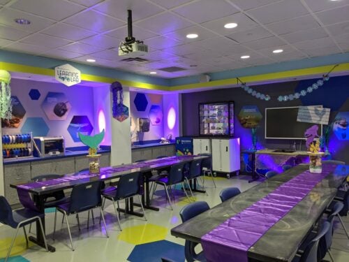 Kids Birthday Parties 3