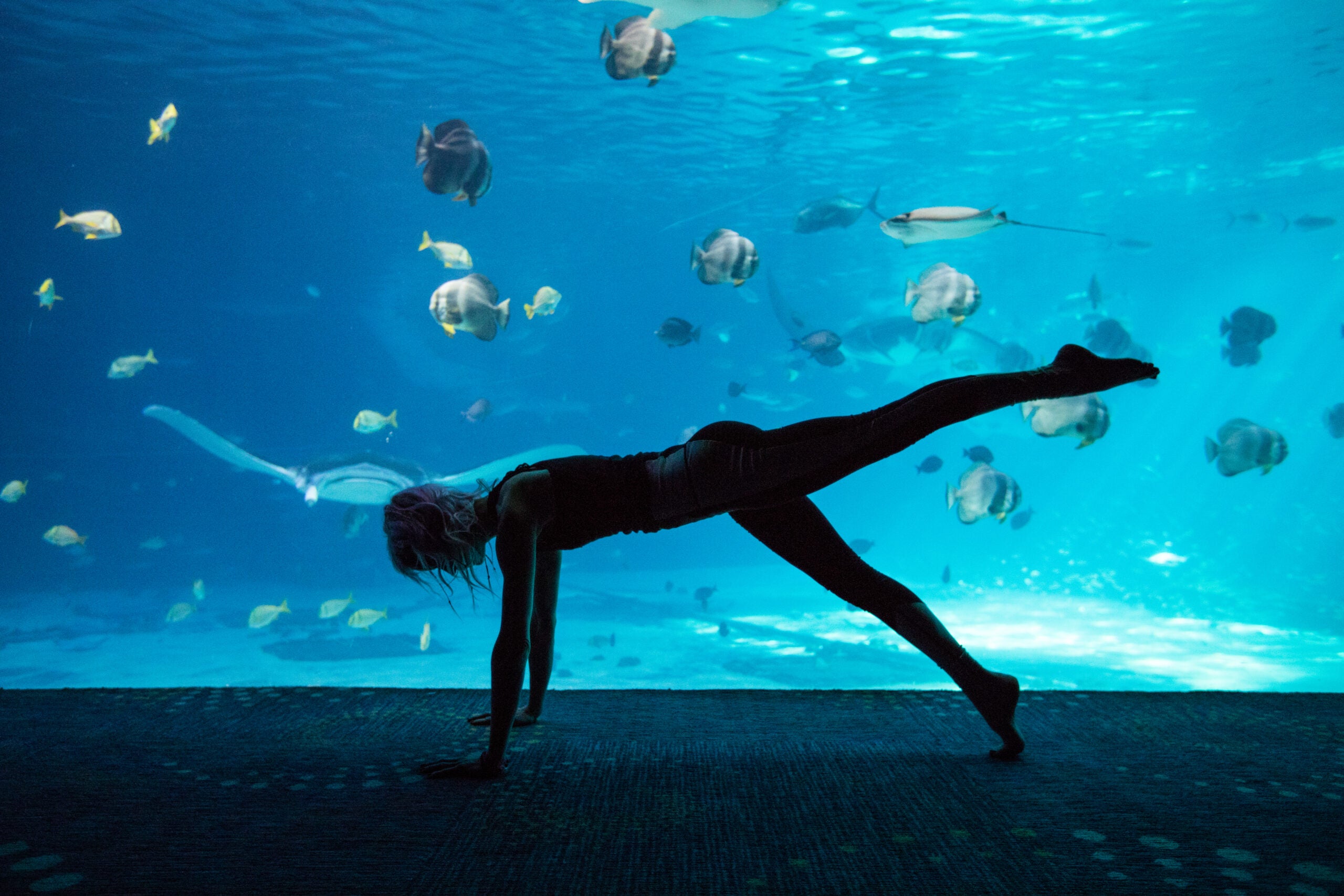 Georgia Aquarium’s 2025 Event Calendar:  A Year of Unforgettable Experiences 19