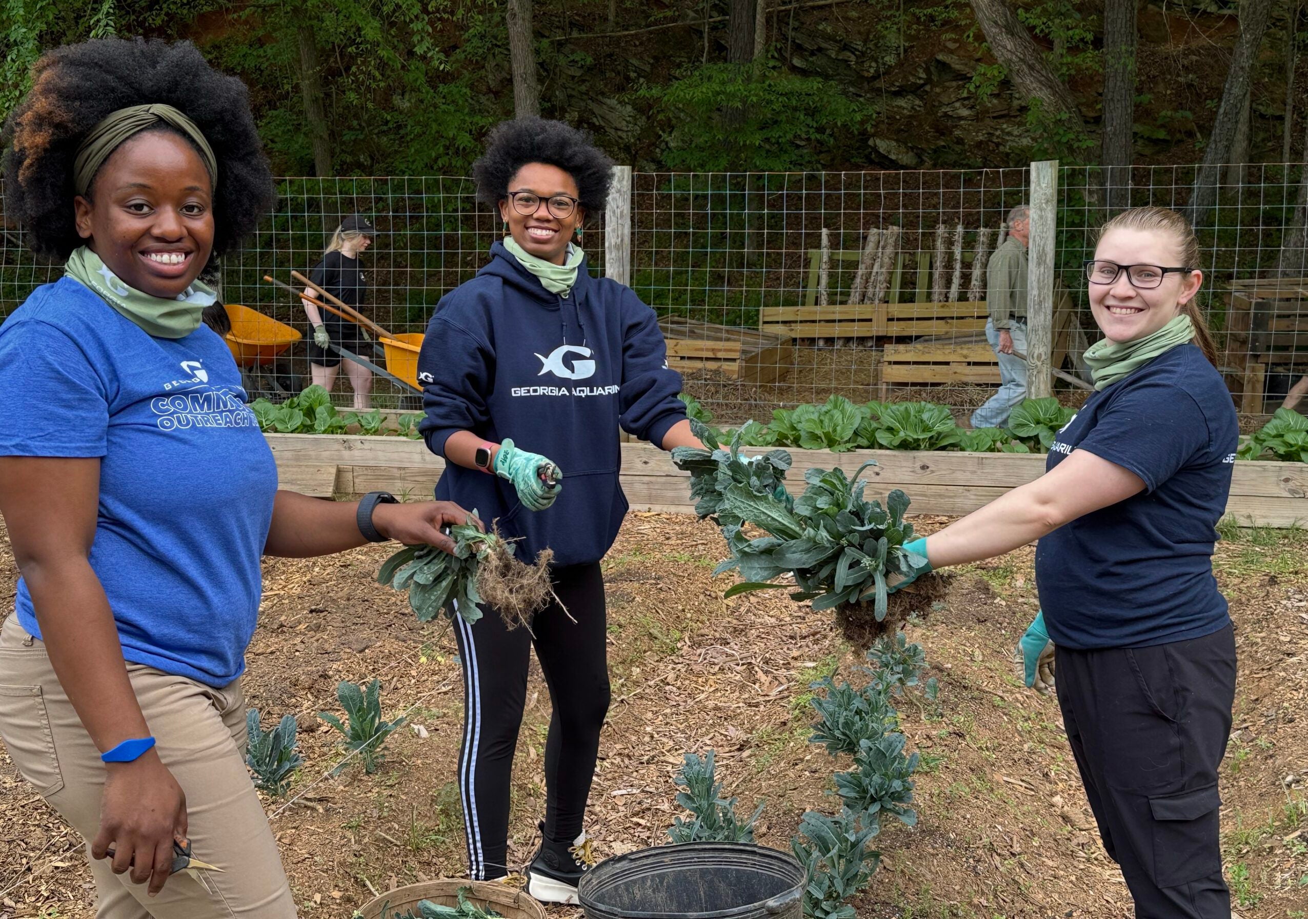 Celebrating Earth Day and 20 Years of Conservation:  Georgia Aquarium Gives Back 1